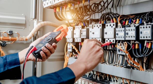 Best Electric Panel Repair  in Zephyrhills West, FL